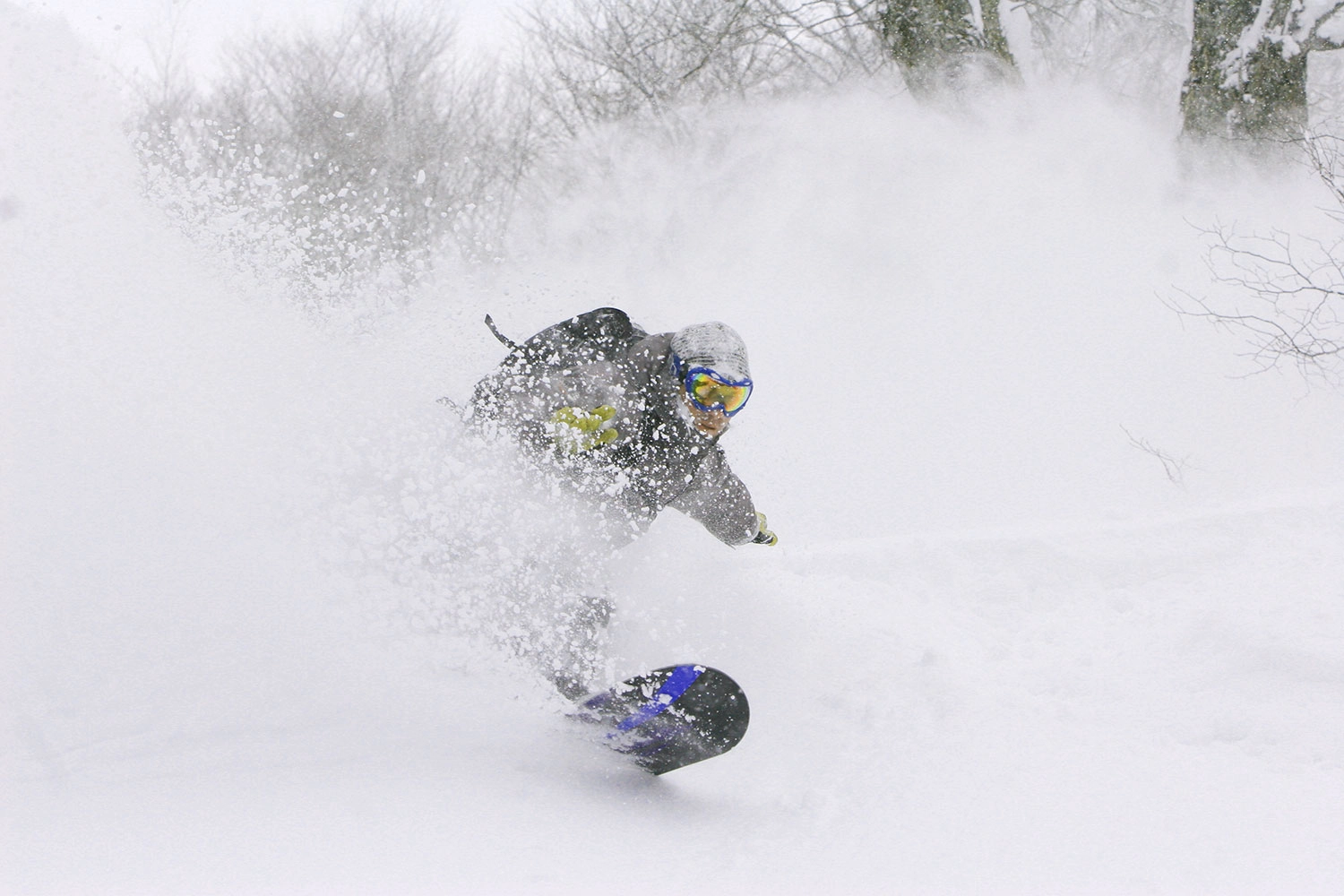 Snowboarder in japow