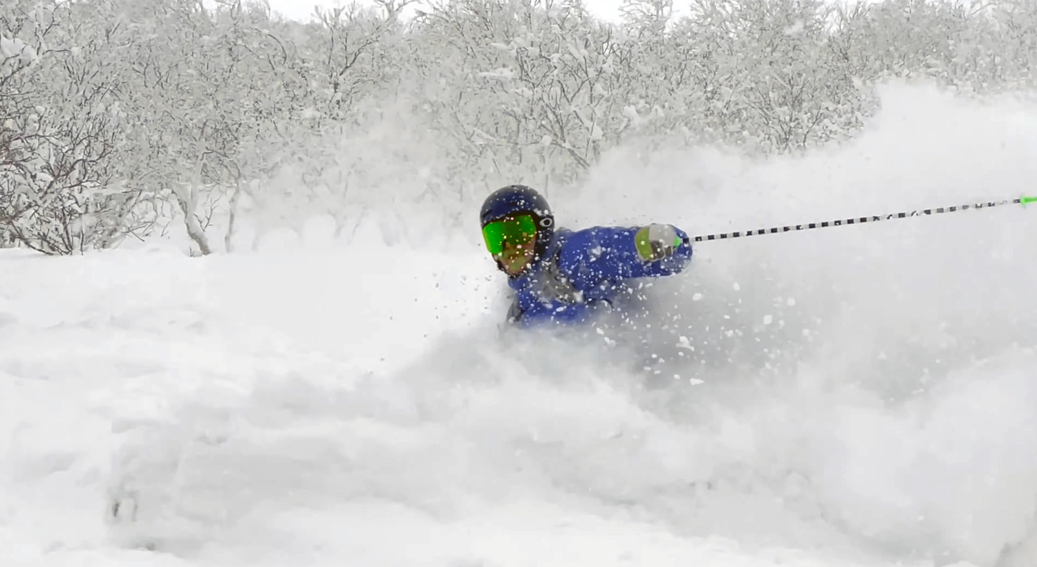 Skier shredding some classic Annupuri pow