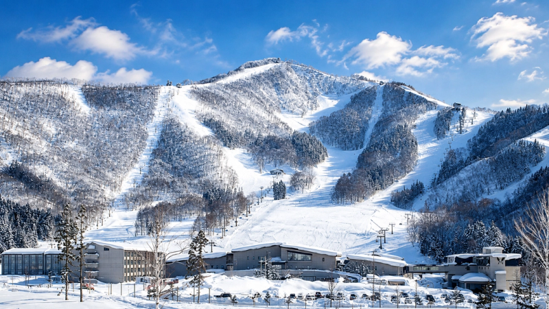 Where to Stay in Madarao + Tangram