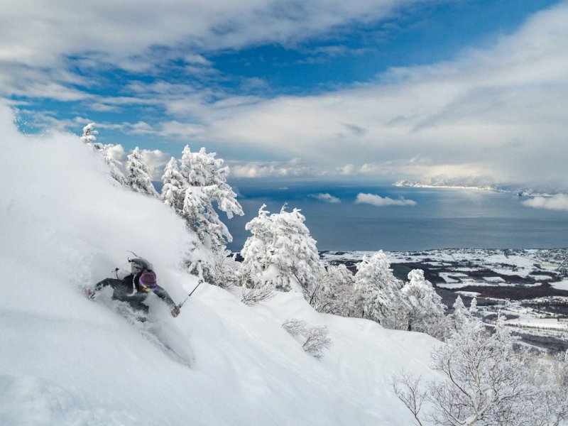 Skier covered in Hokkaido powder