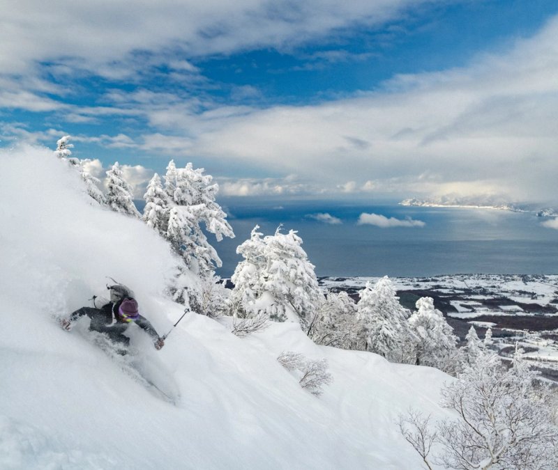Skier covered in Hokkaido powder