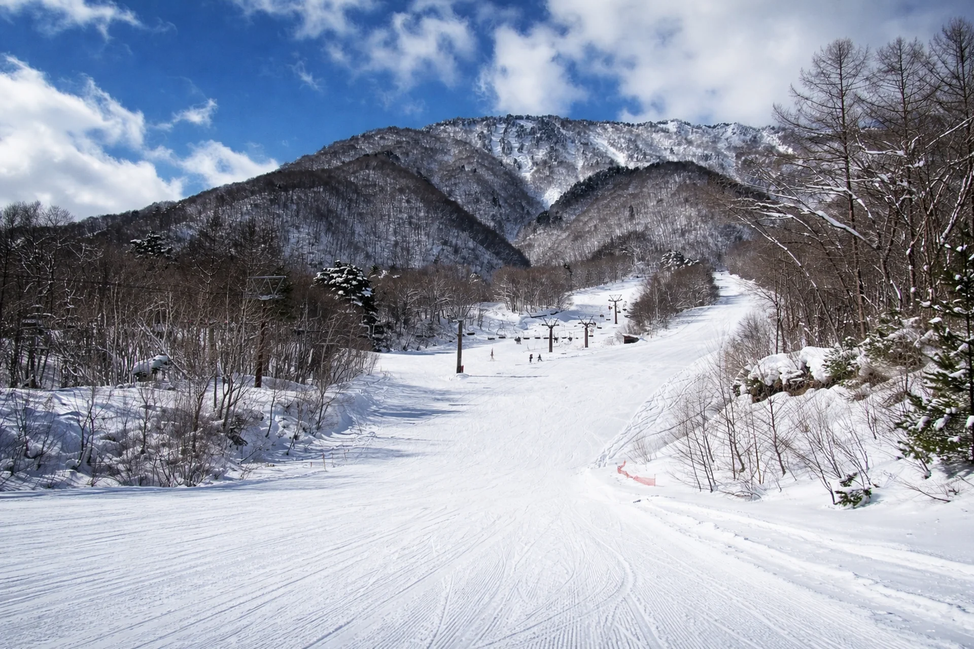 View looking up a Jigatake Ski run