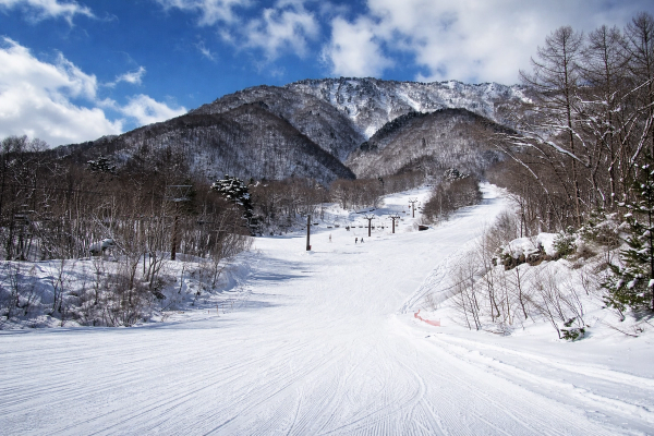 View looking up a Jigatake Ski run