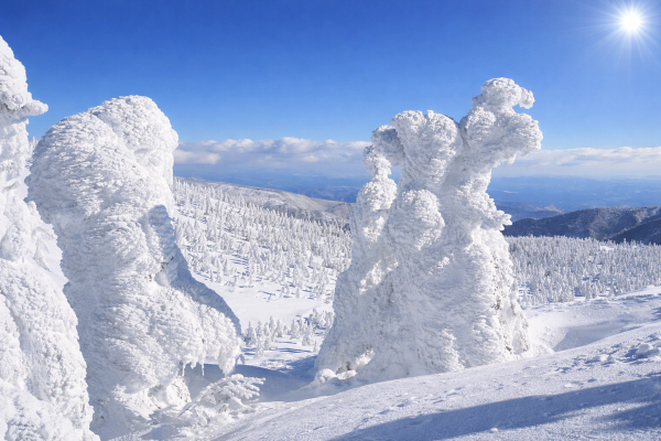 Snow Monsters at Zao Sarukura ski resort