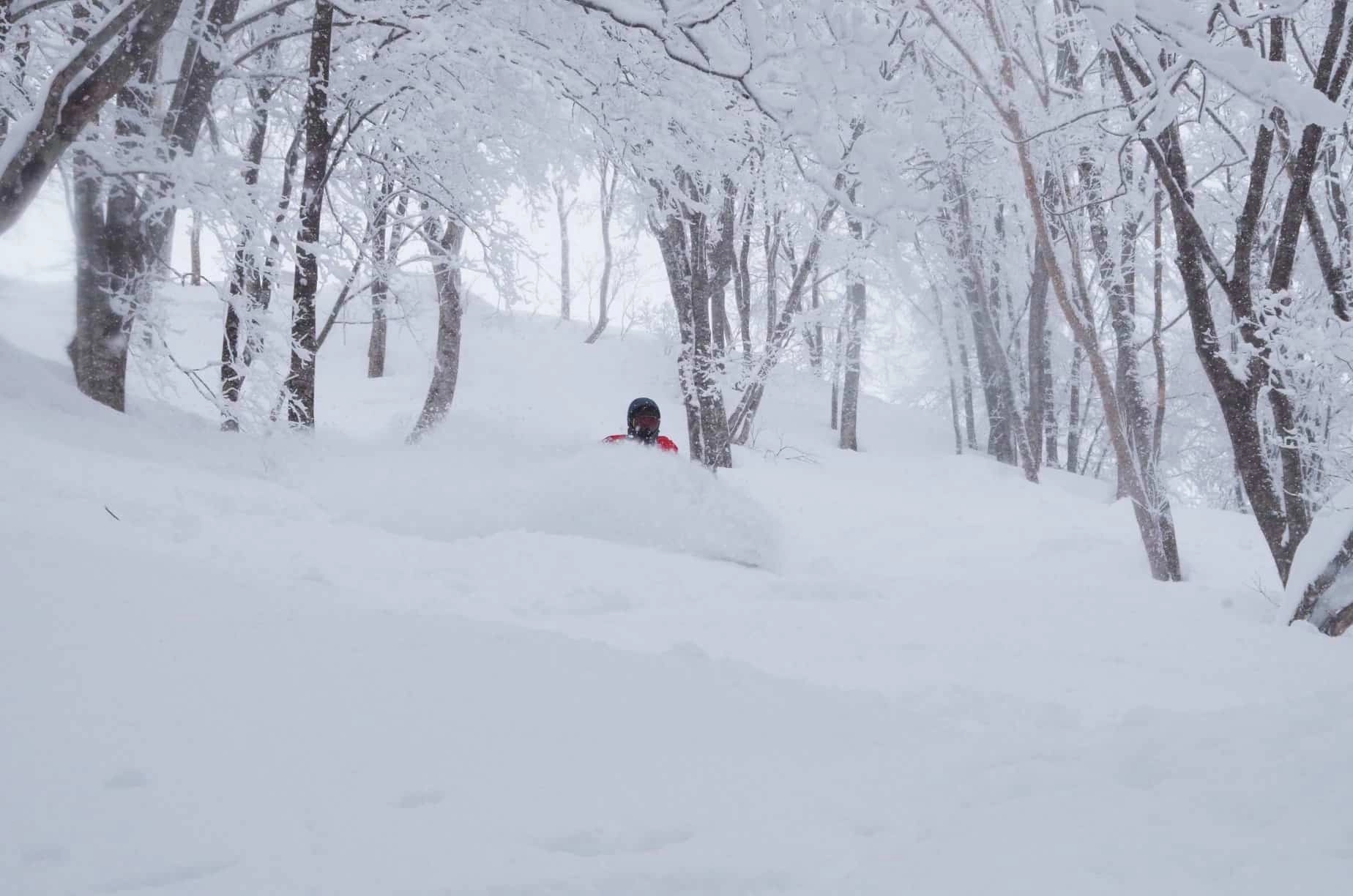 deep deep japow, the best kind of pow at Hakuba 47