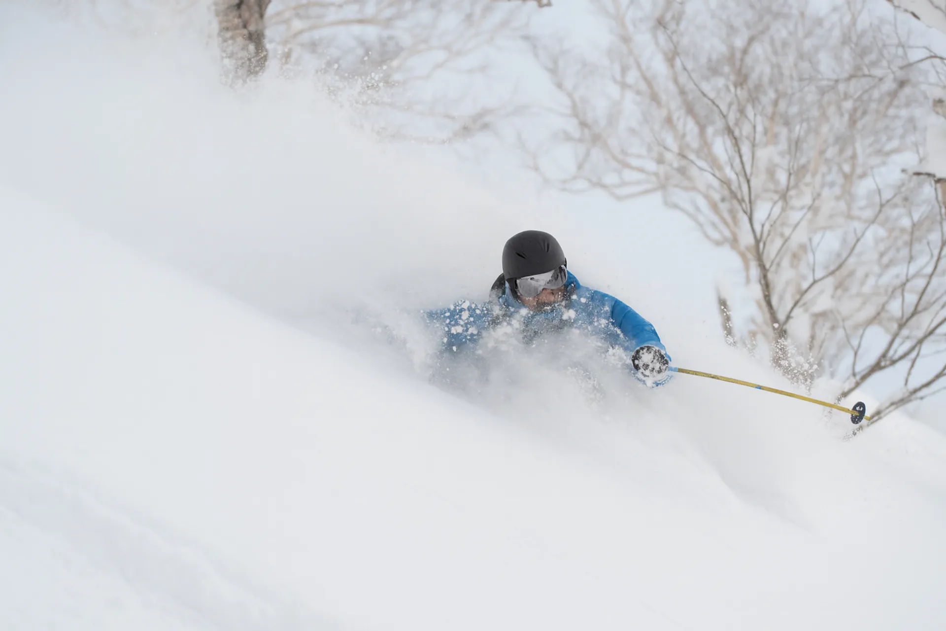 Deep in Japow - Northern Tohoku