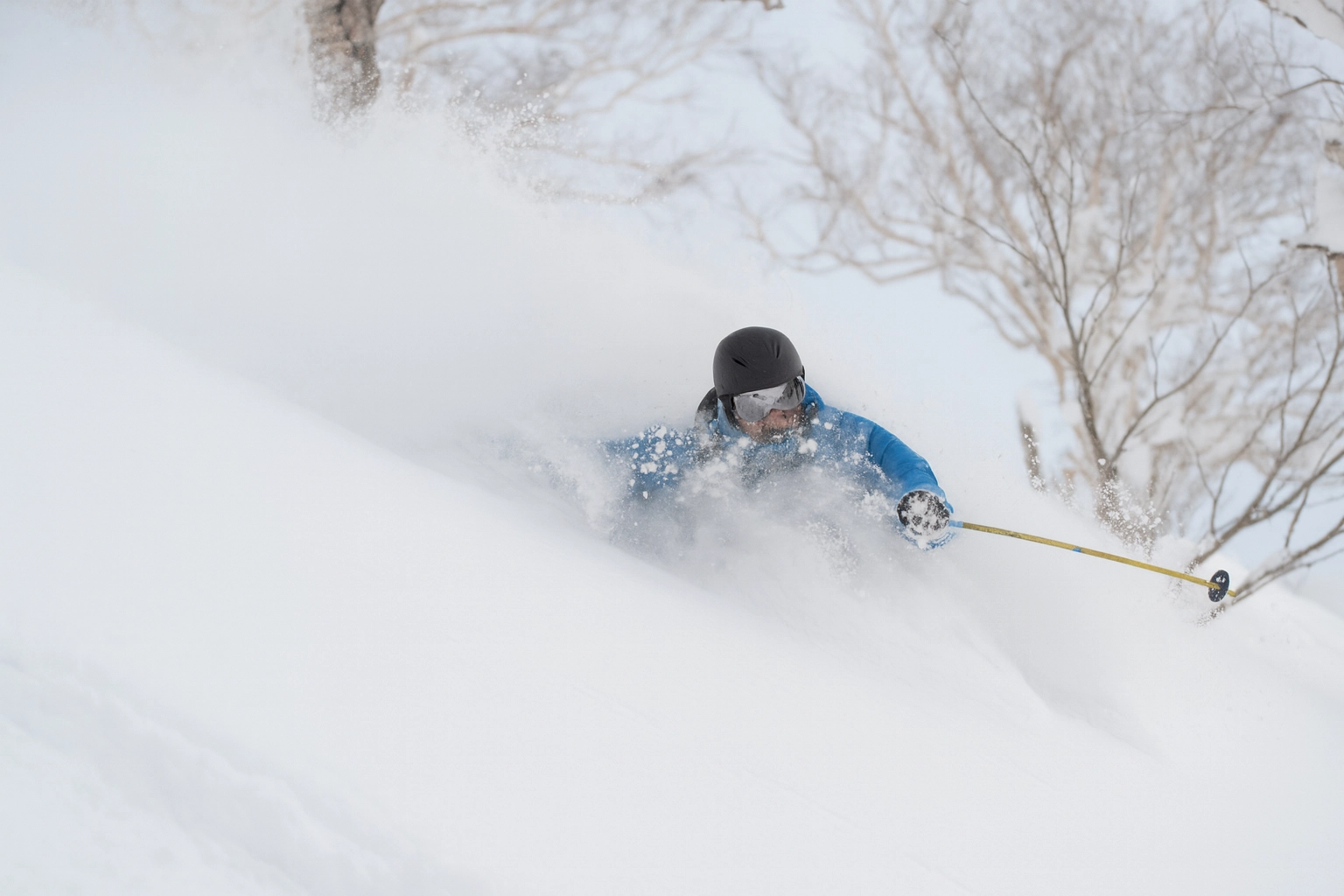 Skier waste-deep in JAPOW in the side country