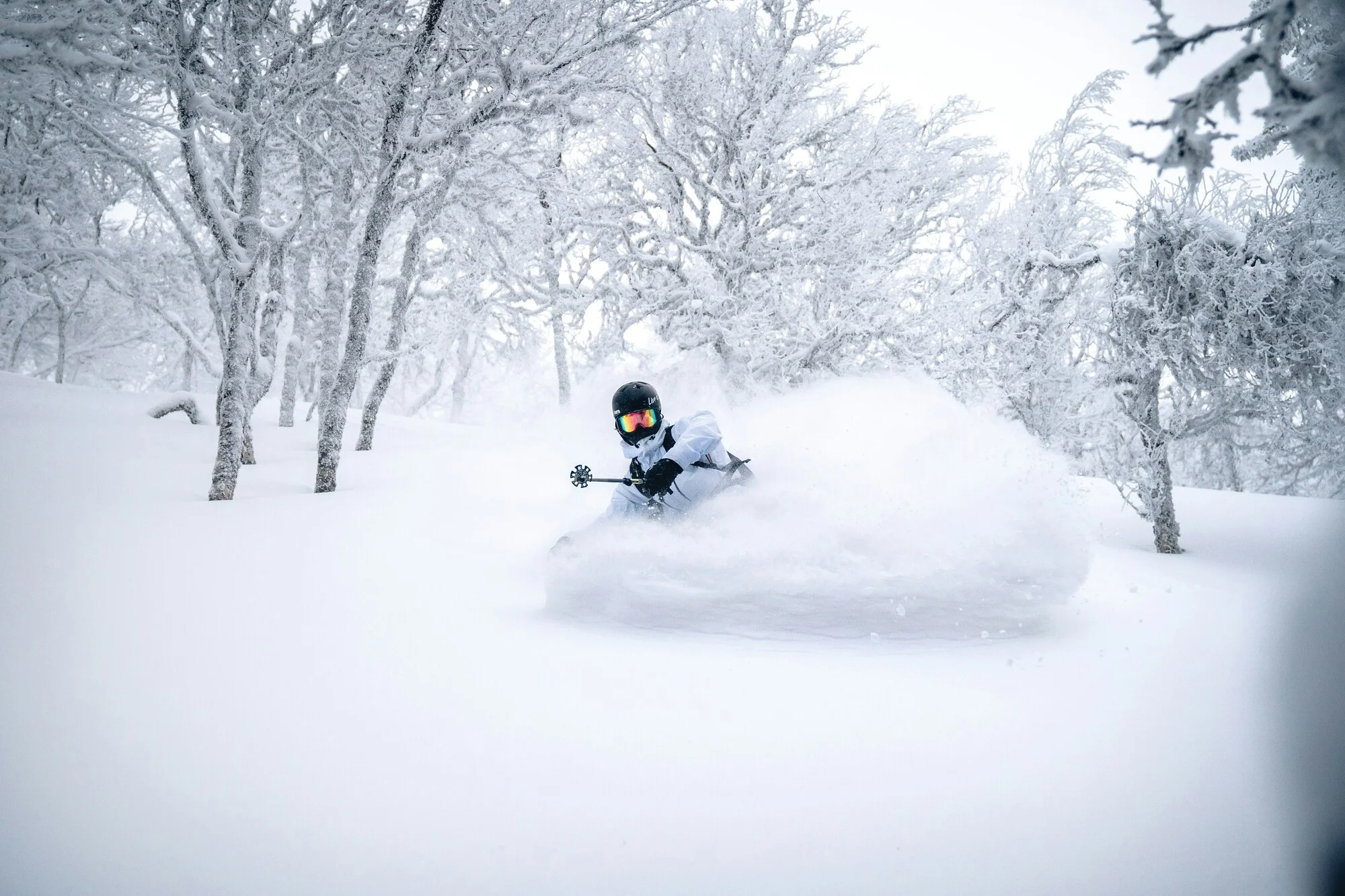 Japow: Japan Ski Resort Reviews, Japow Scores, Guides & Trip Planning