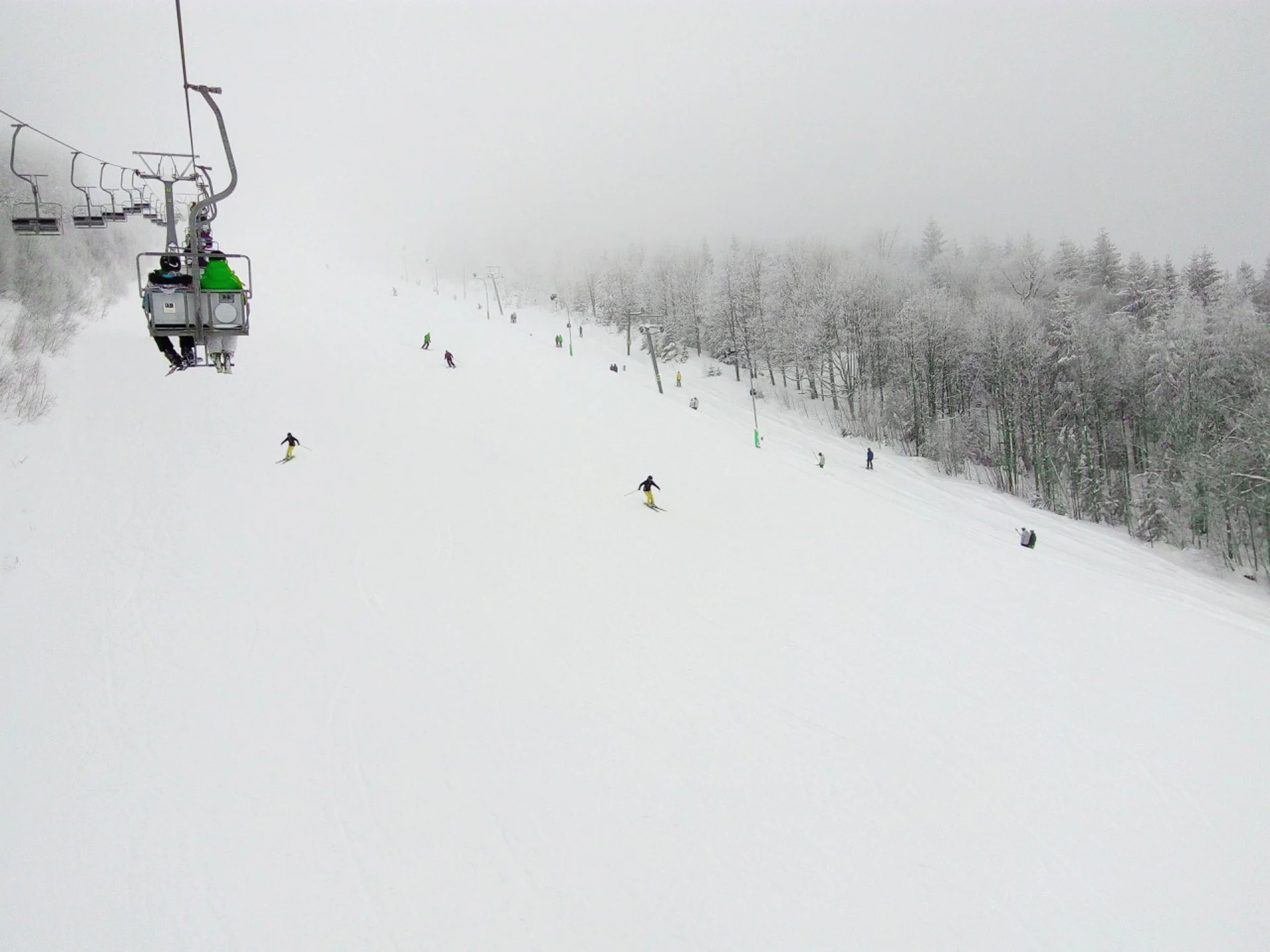 Snowy day at Moya Hills