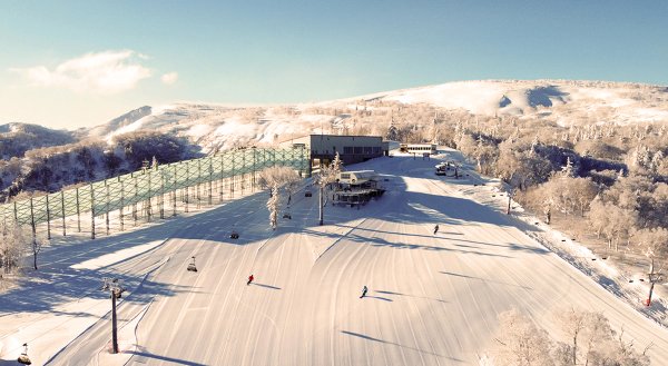 Skiers on the piste at Sapporo Kokusai