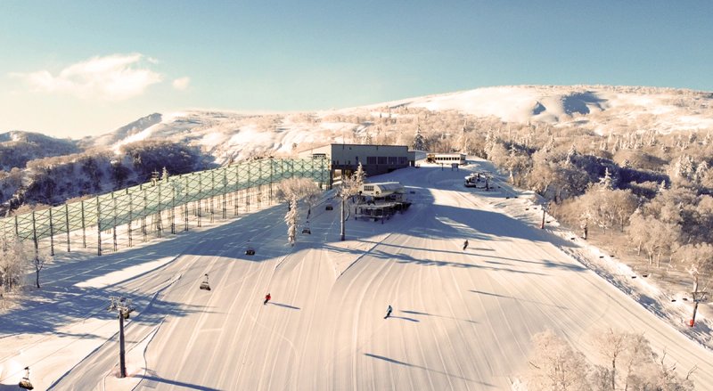 Skiers on the piste at Sapporo Kokusai