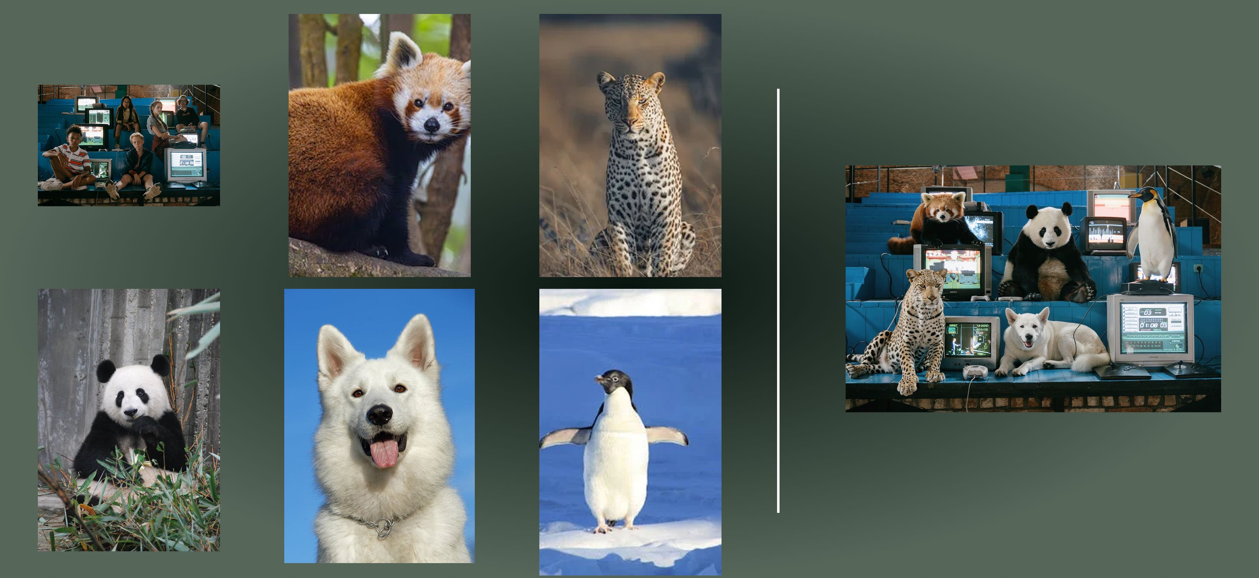 Scene with animals replacing people, maintaining natural proportions