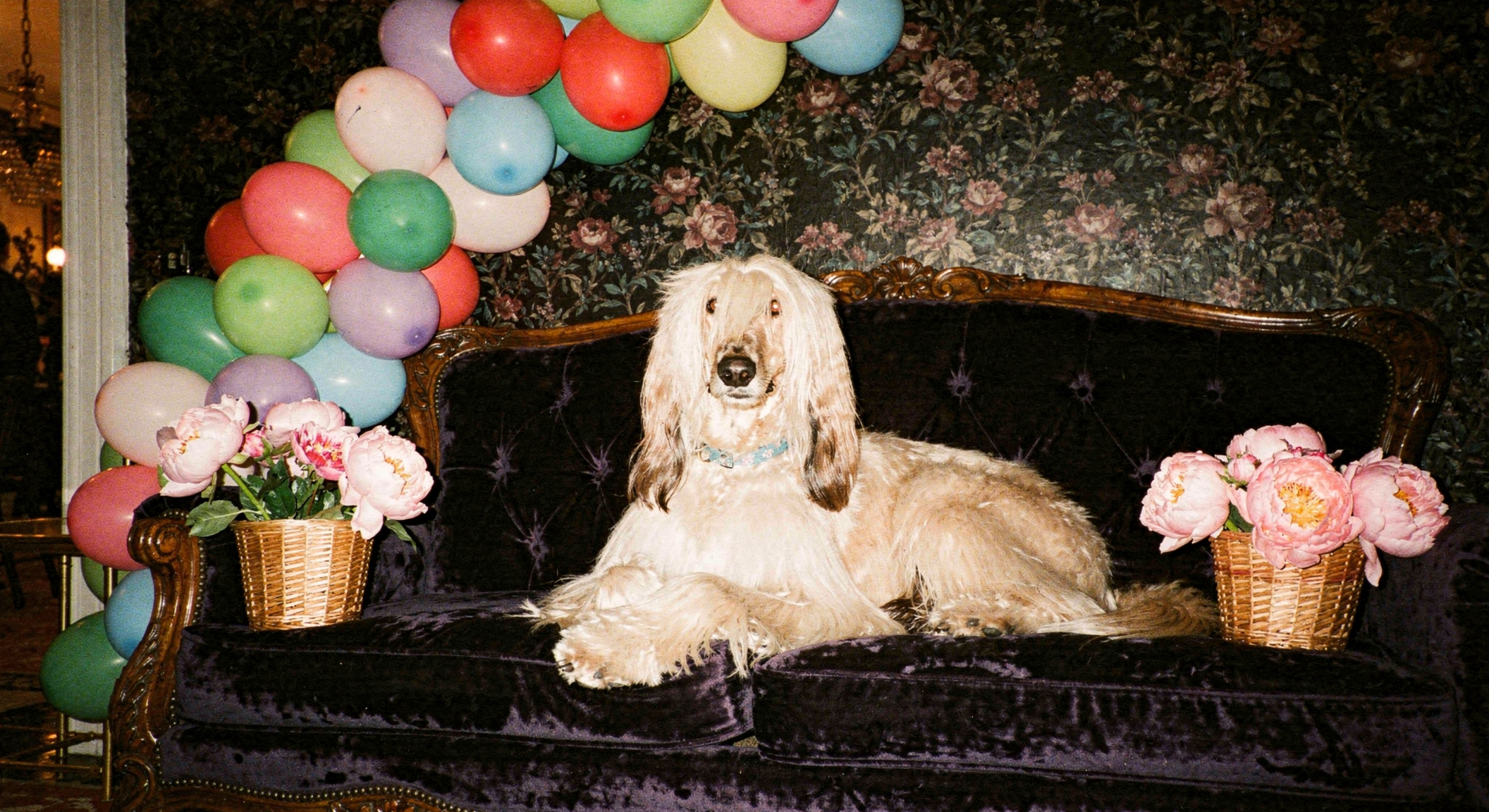 Filmmaking - Cinematic 1