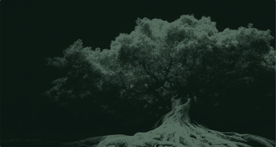 Black Forest