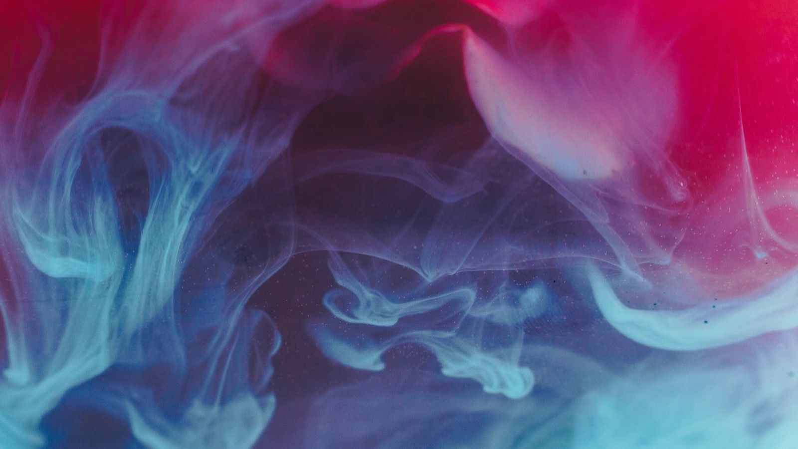 End frame — magenta and violet ink