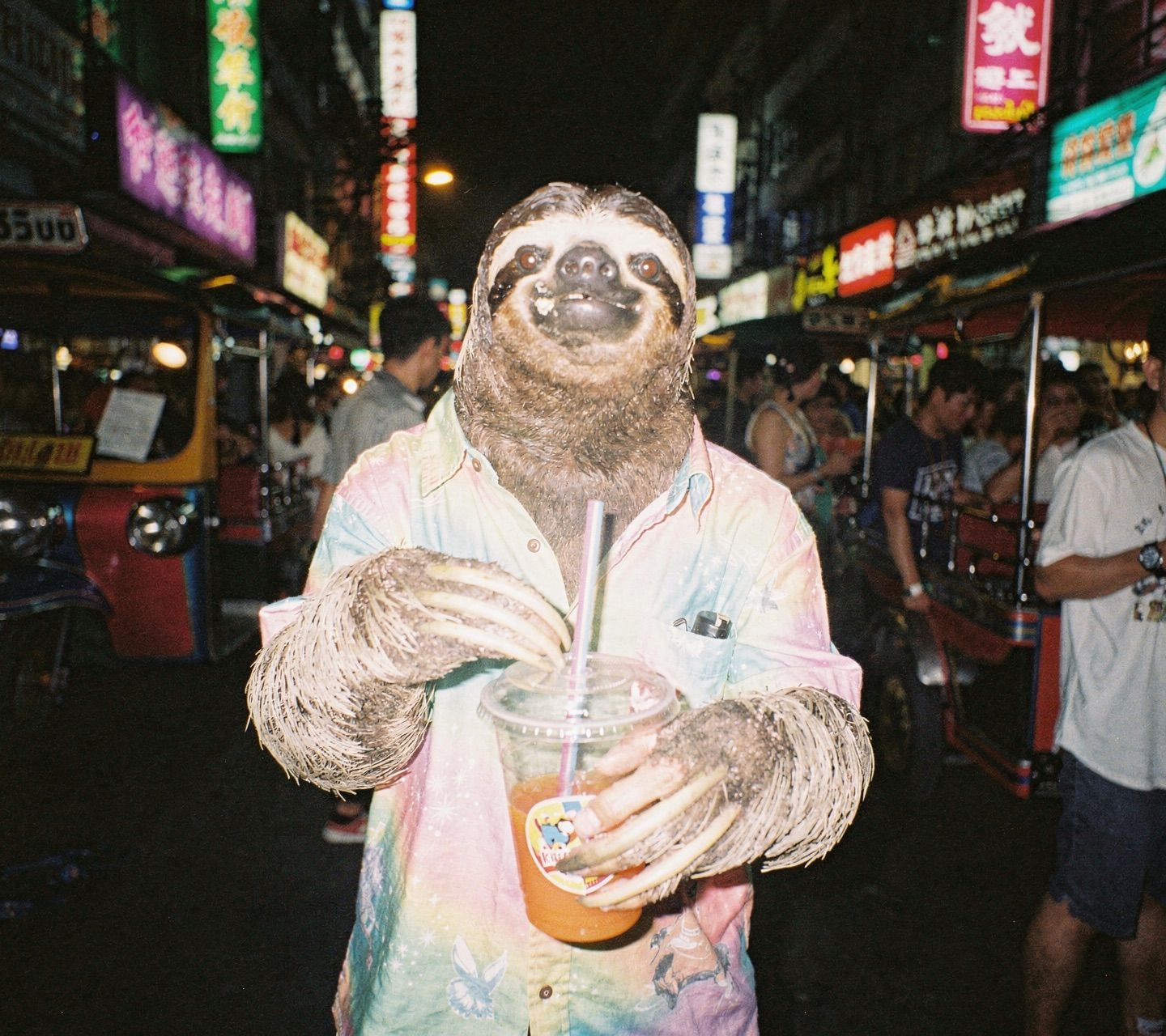 Sloth in Bangkok nightlife, digicam style