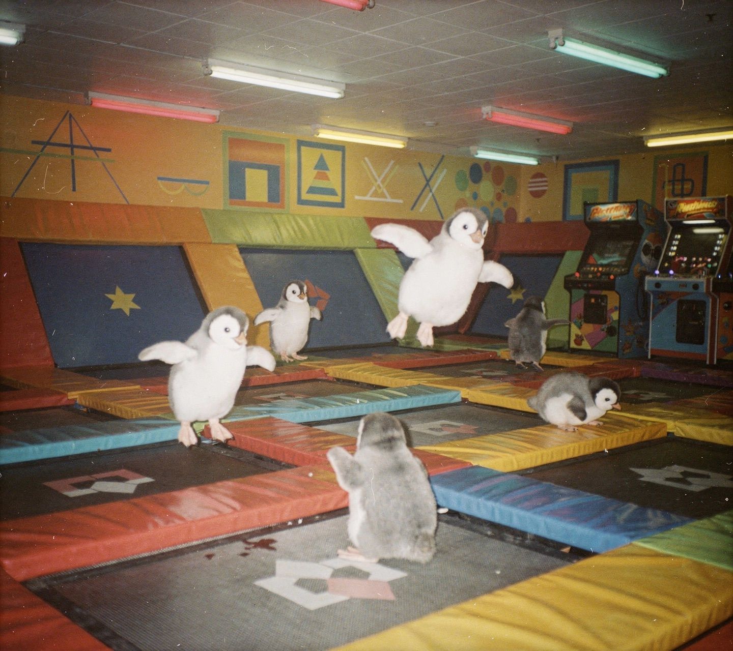 Baby penguins in trampoline park, 80s vintage
