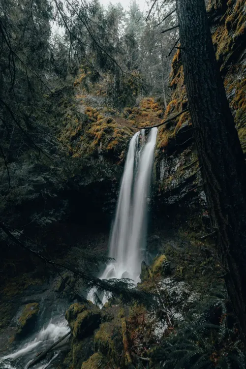 Environment edit — input image