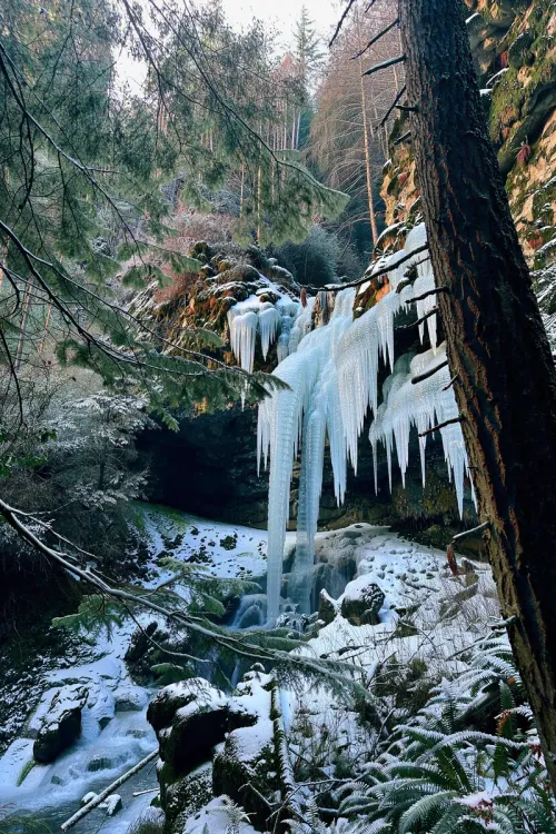 Environment edit — edited with FLUX 3 Image Klein
