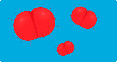 Название новости