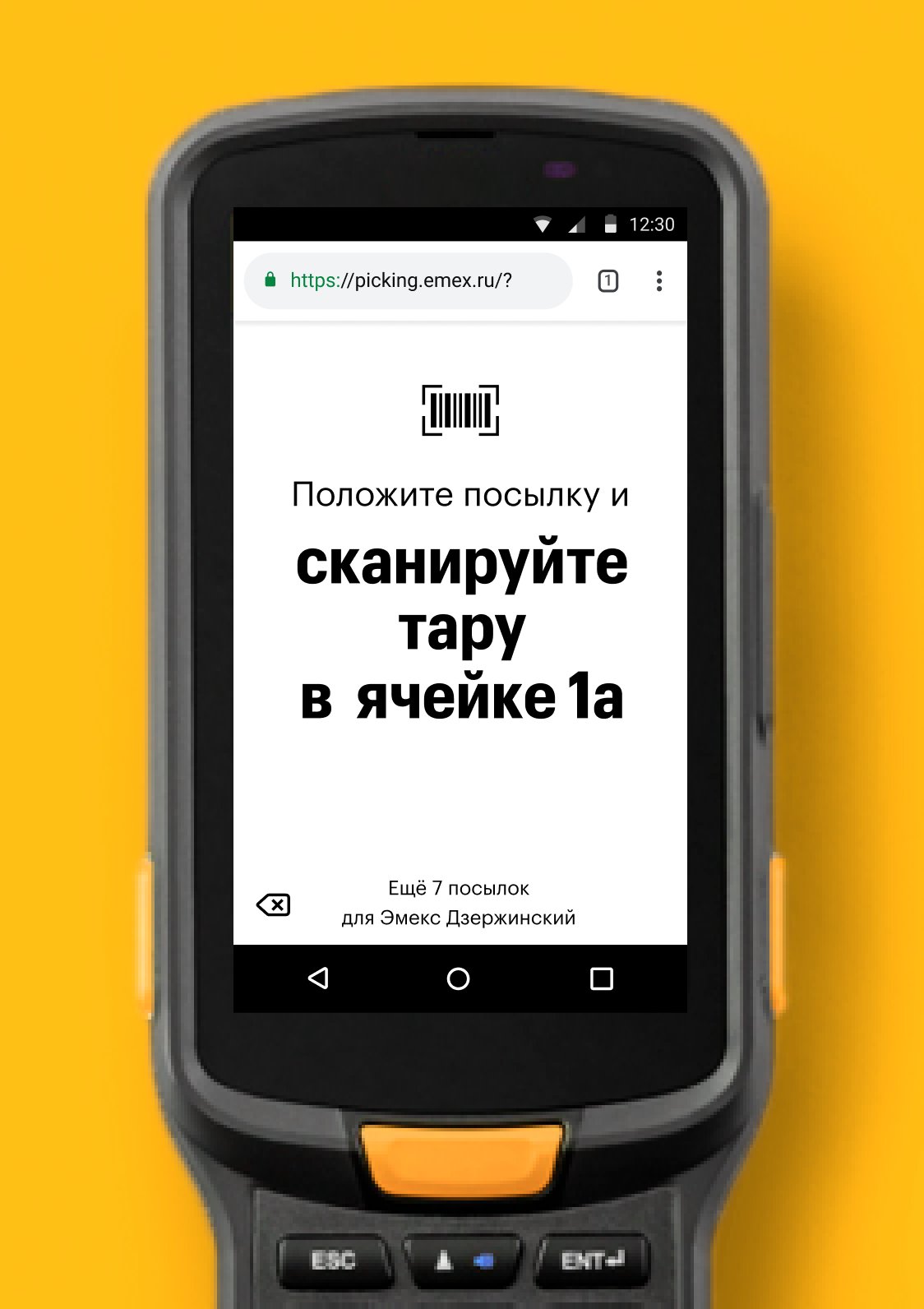 Сканирование тары в дизайн-системе Эмекс