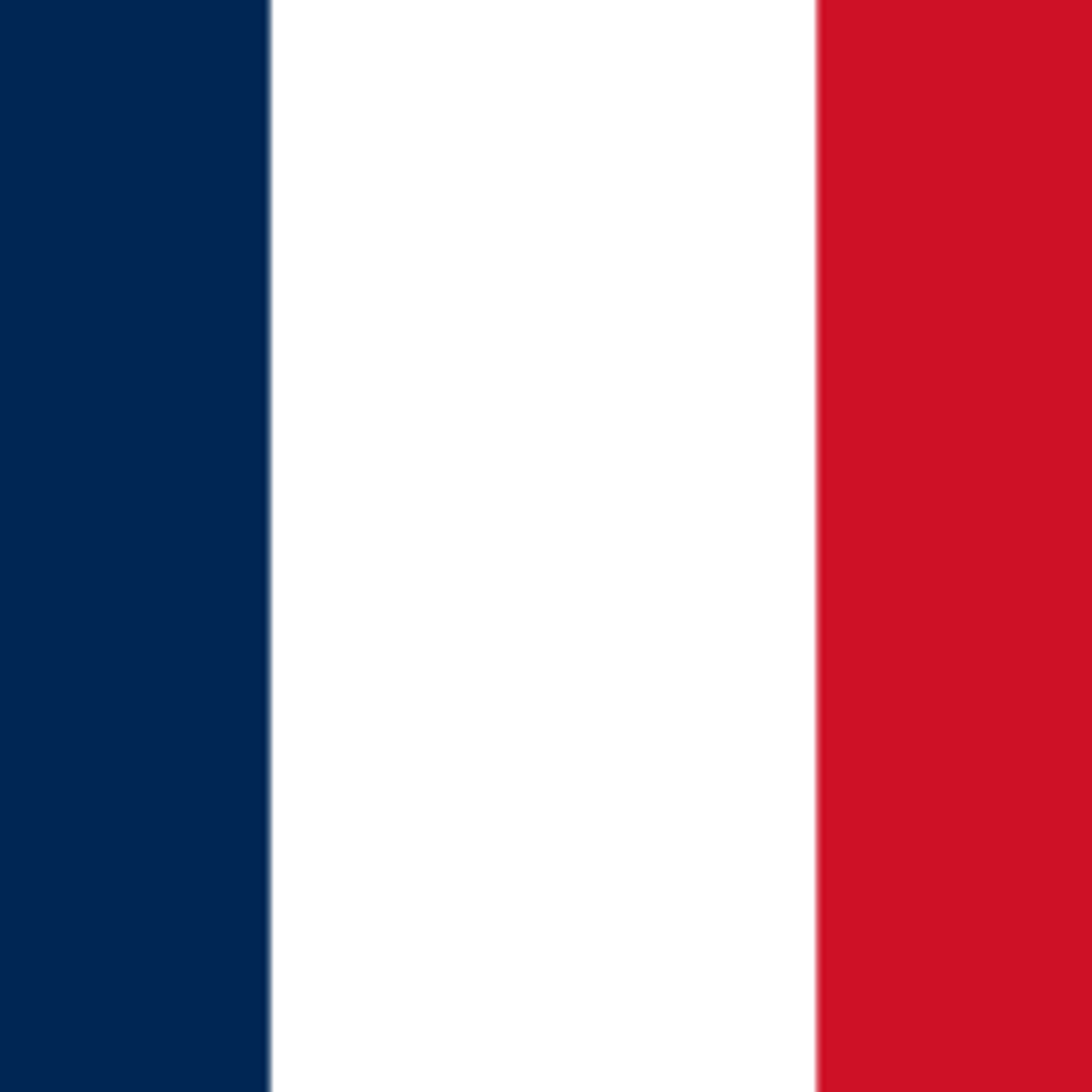 France flag