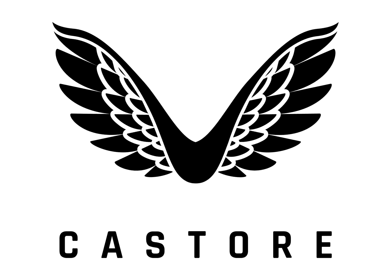 Castore logo