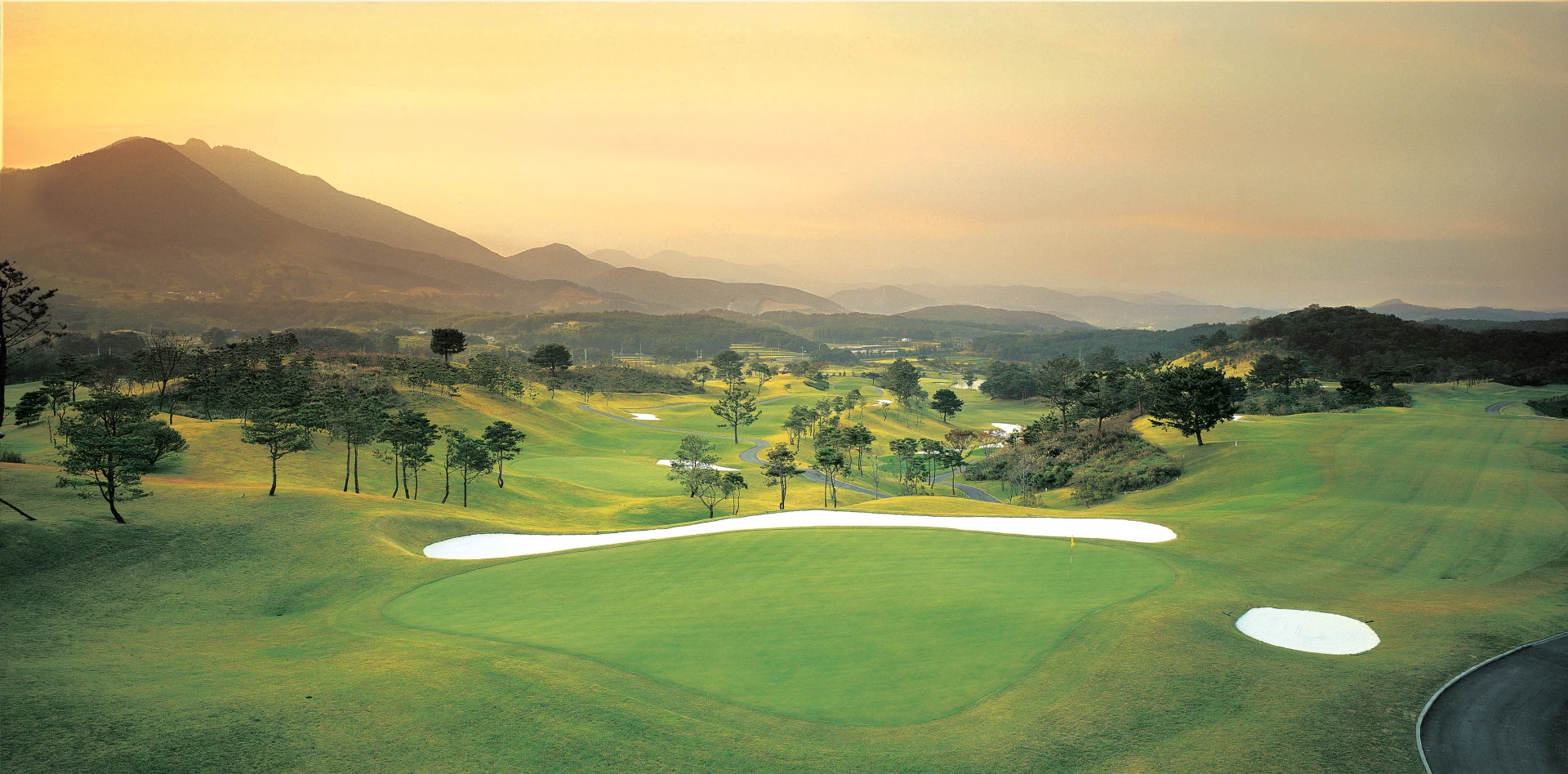 About The Course