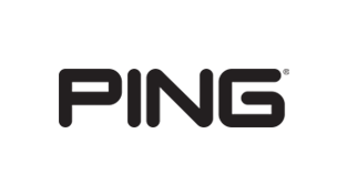 PING logo