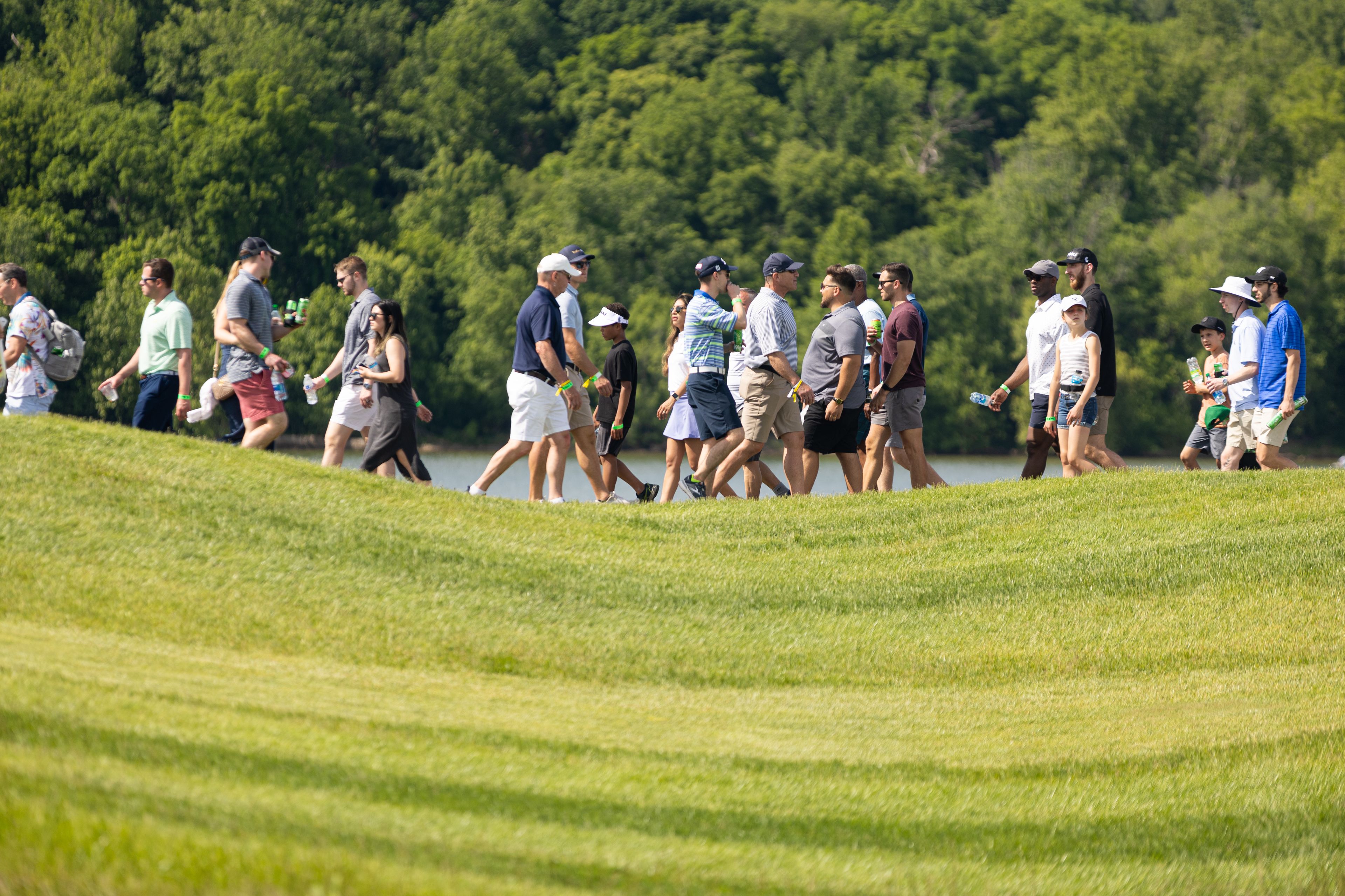 About The Course