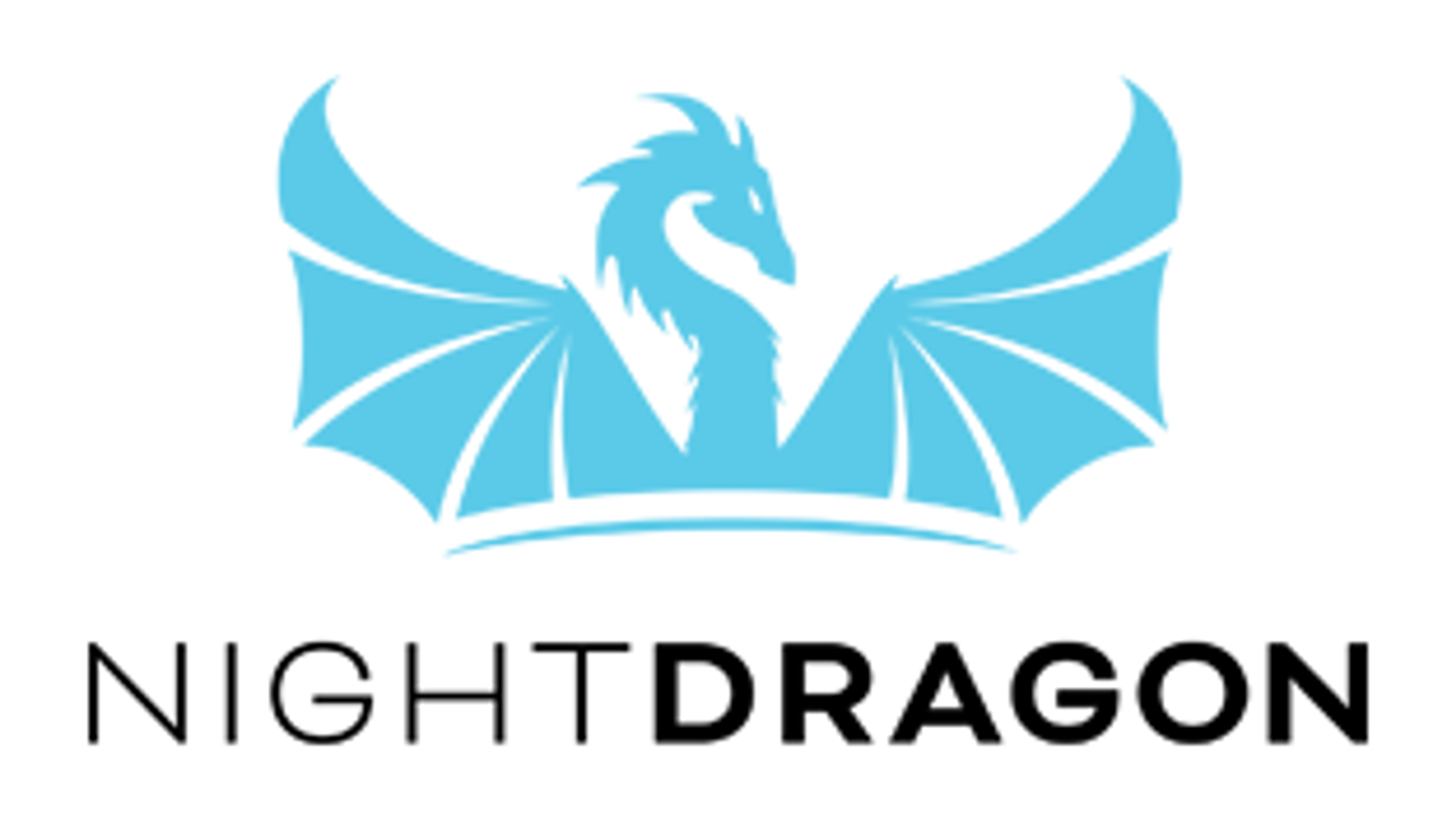 Night Dragon logo
