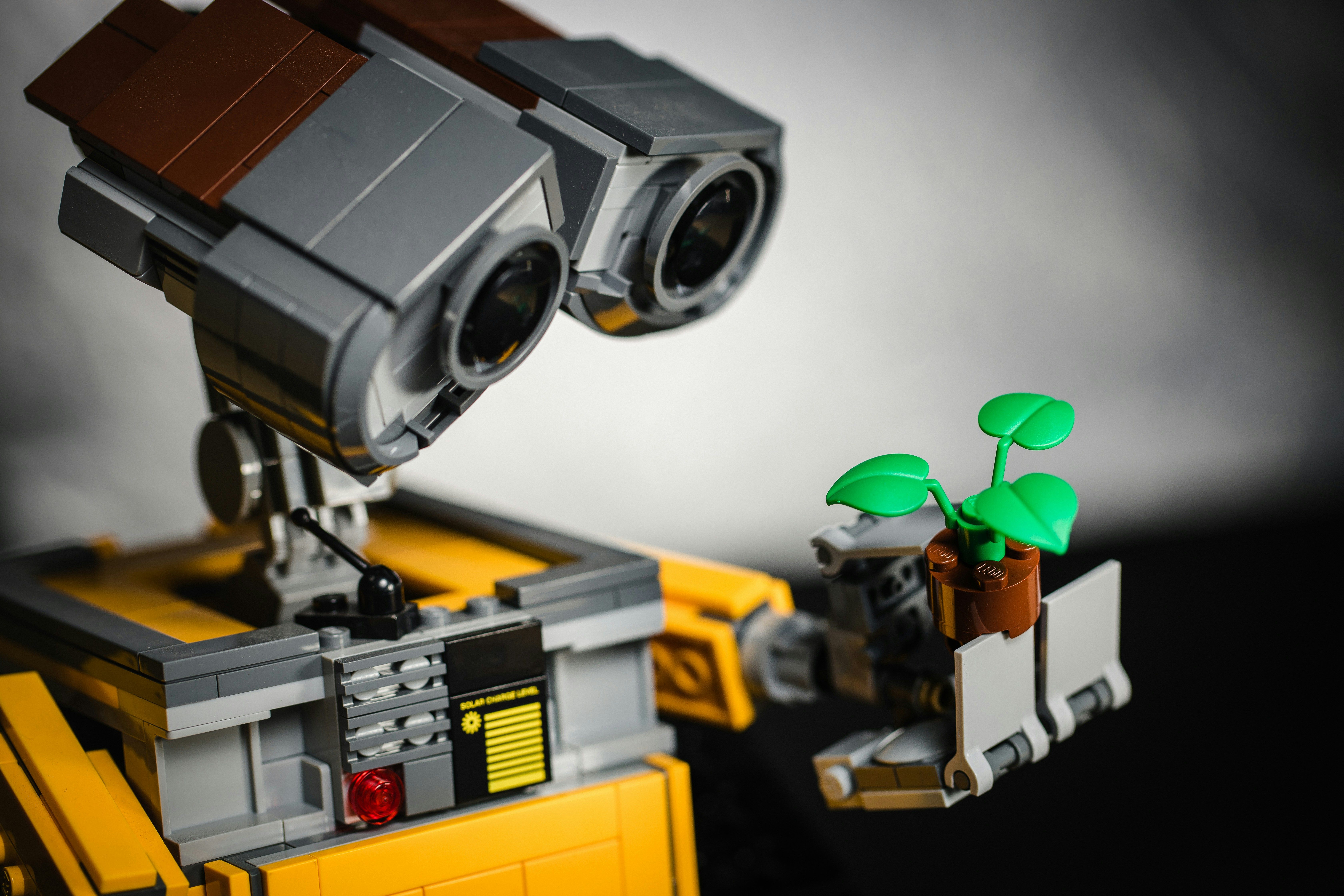 Future Interactions with Nature