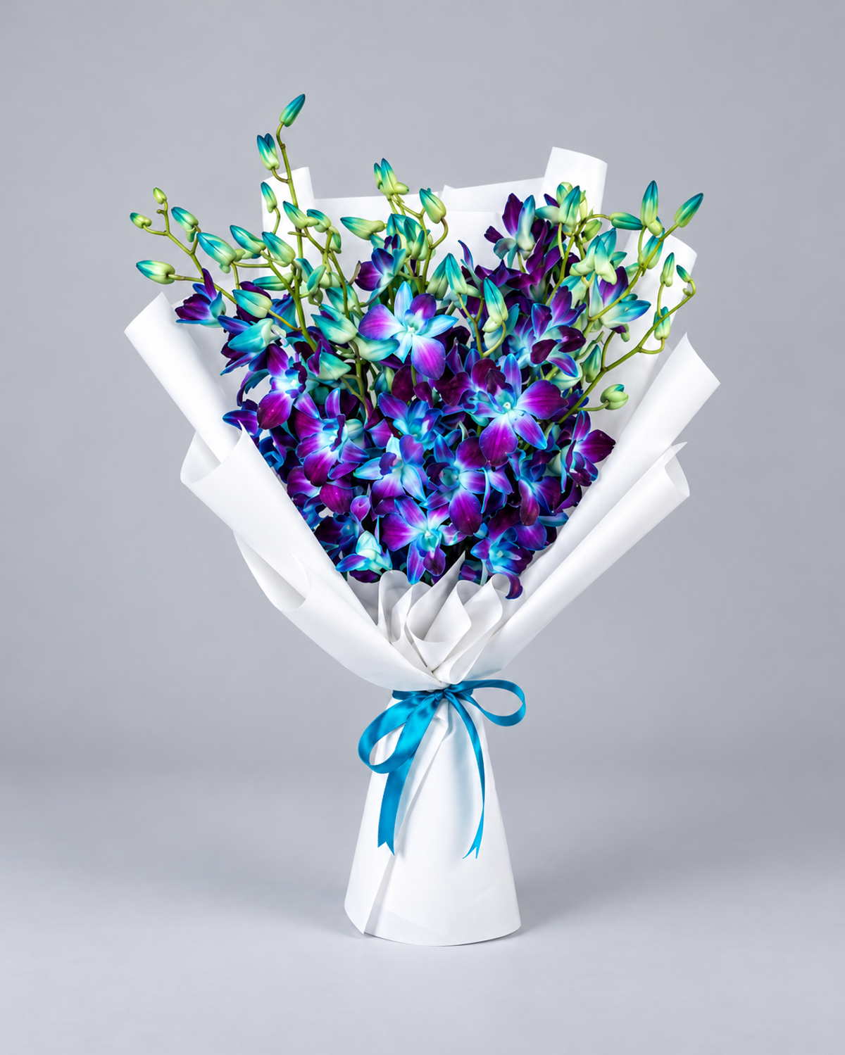 Orchid Aurora