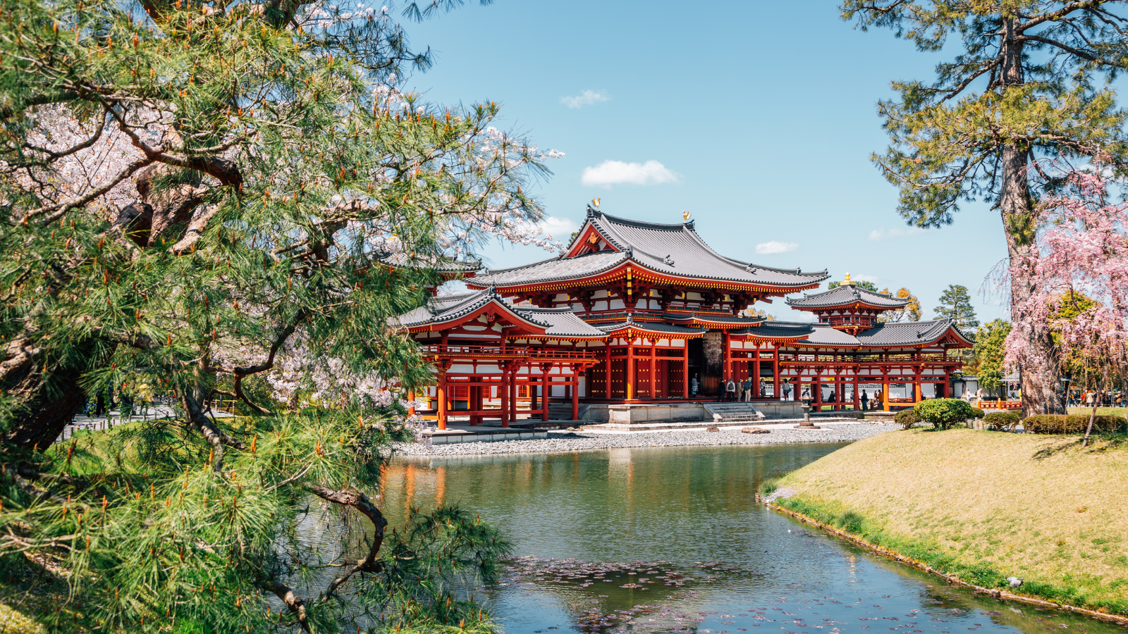 Ngắm hoa anh đào Kyoto: Địa điểm đẹp và kinh nghiệm không thể bỏ lỡ