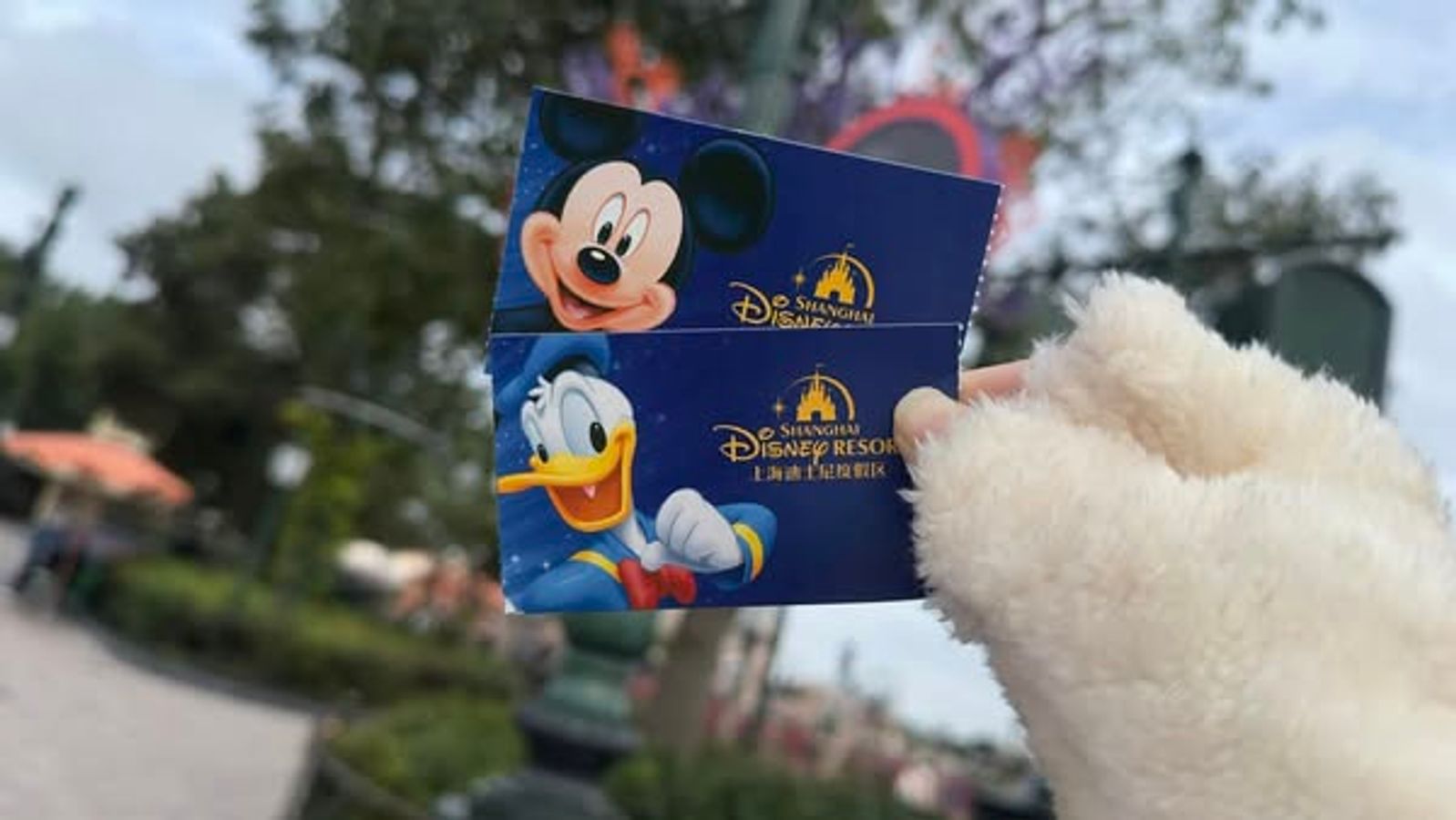 Cách Săn Vé Disneyland Thượng Hải Giá Rẻ Nhất