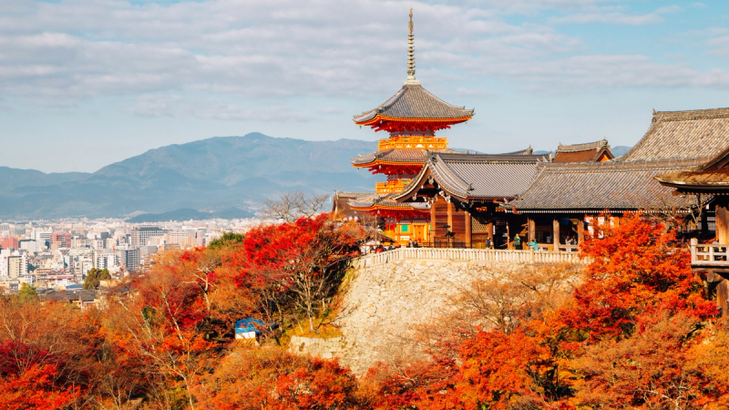 Du lịch Kyoto cùng gia đình có trẻ nhỏ: Hành trình mùa thu ấm áp và trọn vẹn
