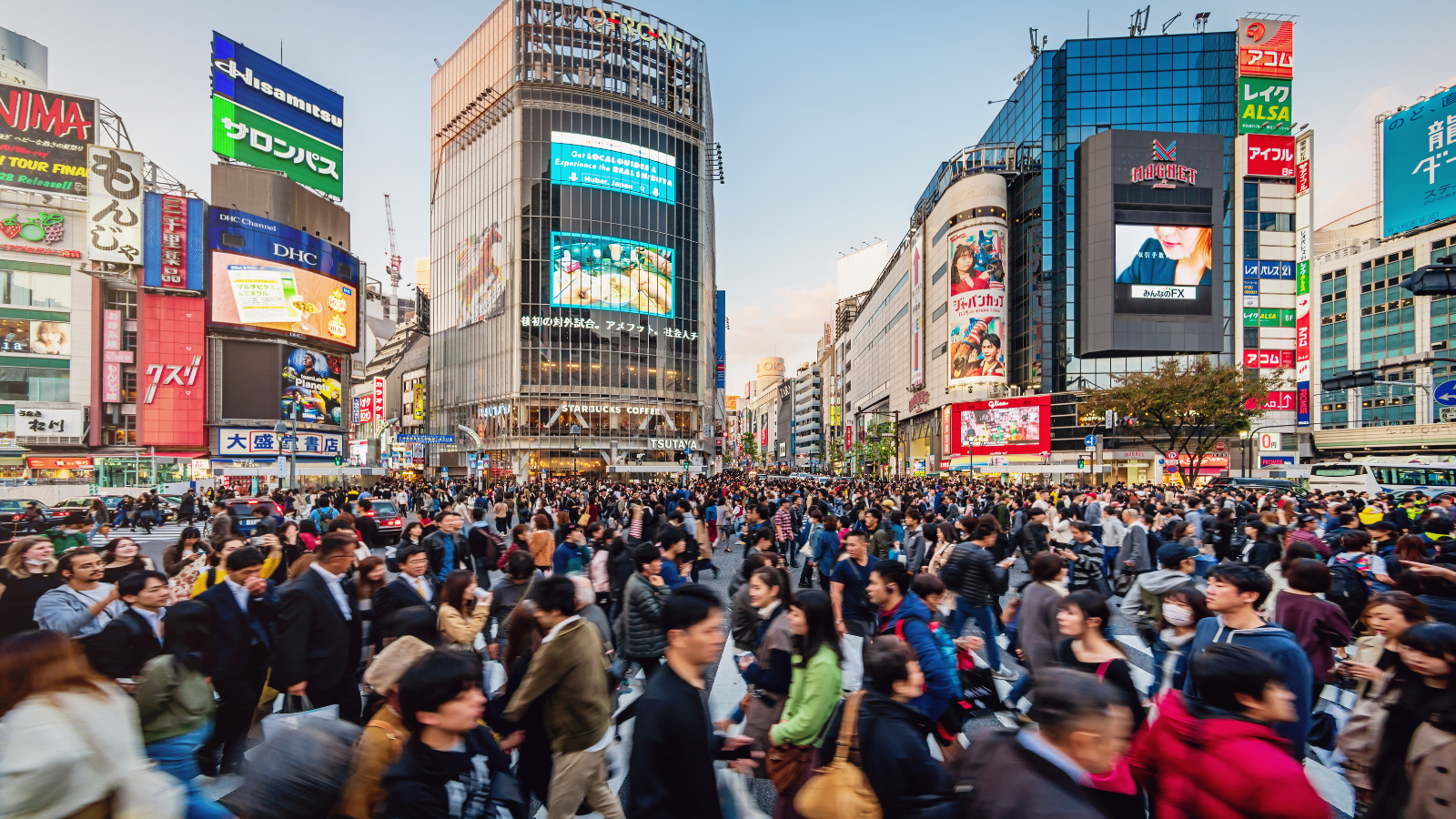 Kinh Nghiệm Du Lịch Tokyo Một Mình: Khám Phá Thủ Đô Nhật Bản Trong Mùa Đông Tuyệt Đẹp