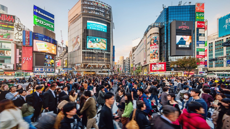 Kinh Nghiệm Du Lịch Tokyo Một Mình: Khám Phá Thủ Đô Nhật Bản Trong Mùa Đông Tuyệt Đẹp
