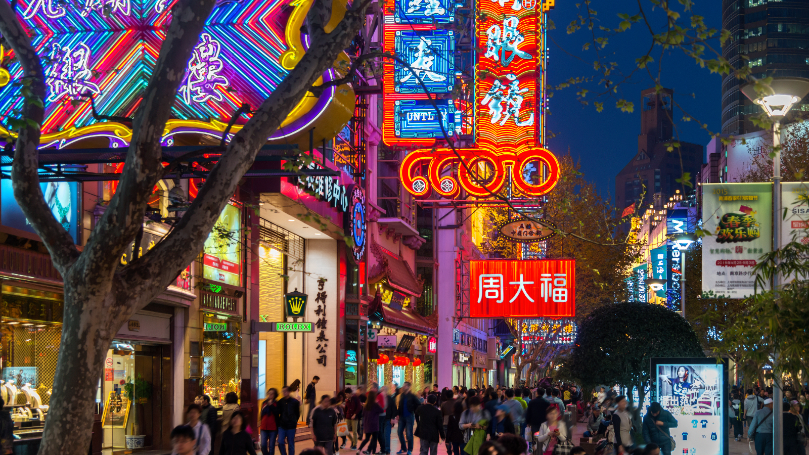 Du lịch Thượng Hải mùa đông có gì hấp dẫn: Hành trình khám phá sắc màu lạnh giá và ấm áp