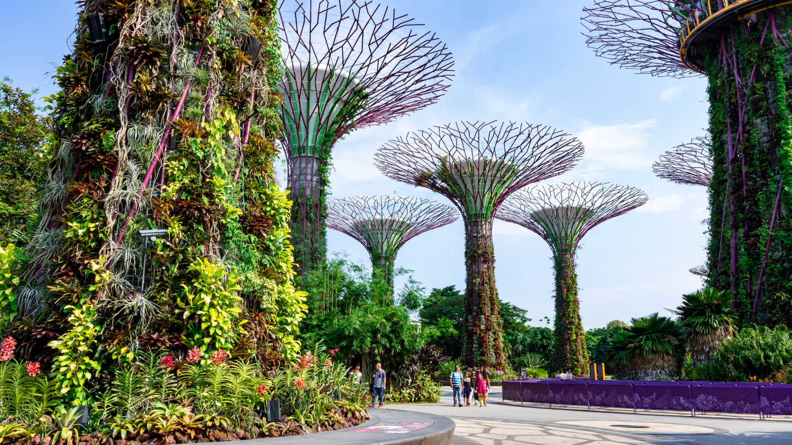 Những địa điểm vui chơi Singapore nhất định phải đến: Hành trình khám phá sắc màu giải trí và trải nghiệm mùa khô