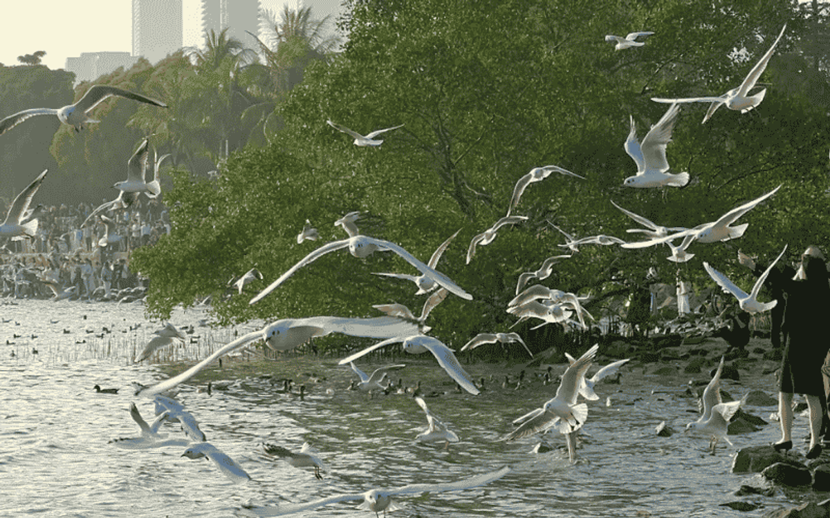 CÔNG VIÊN VỊNH THÂM QUYẾN: CÁCH LAIMI TỐI ƯU LỊCH TRÌNH