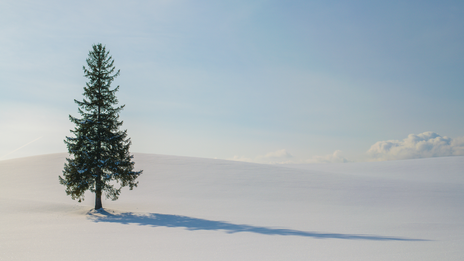 Kinh nghiệm du lịch Hokkaido mùa đông: Khám phá vẻ đẹp tuyết trắng và những trải nghiệm không thể quên