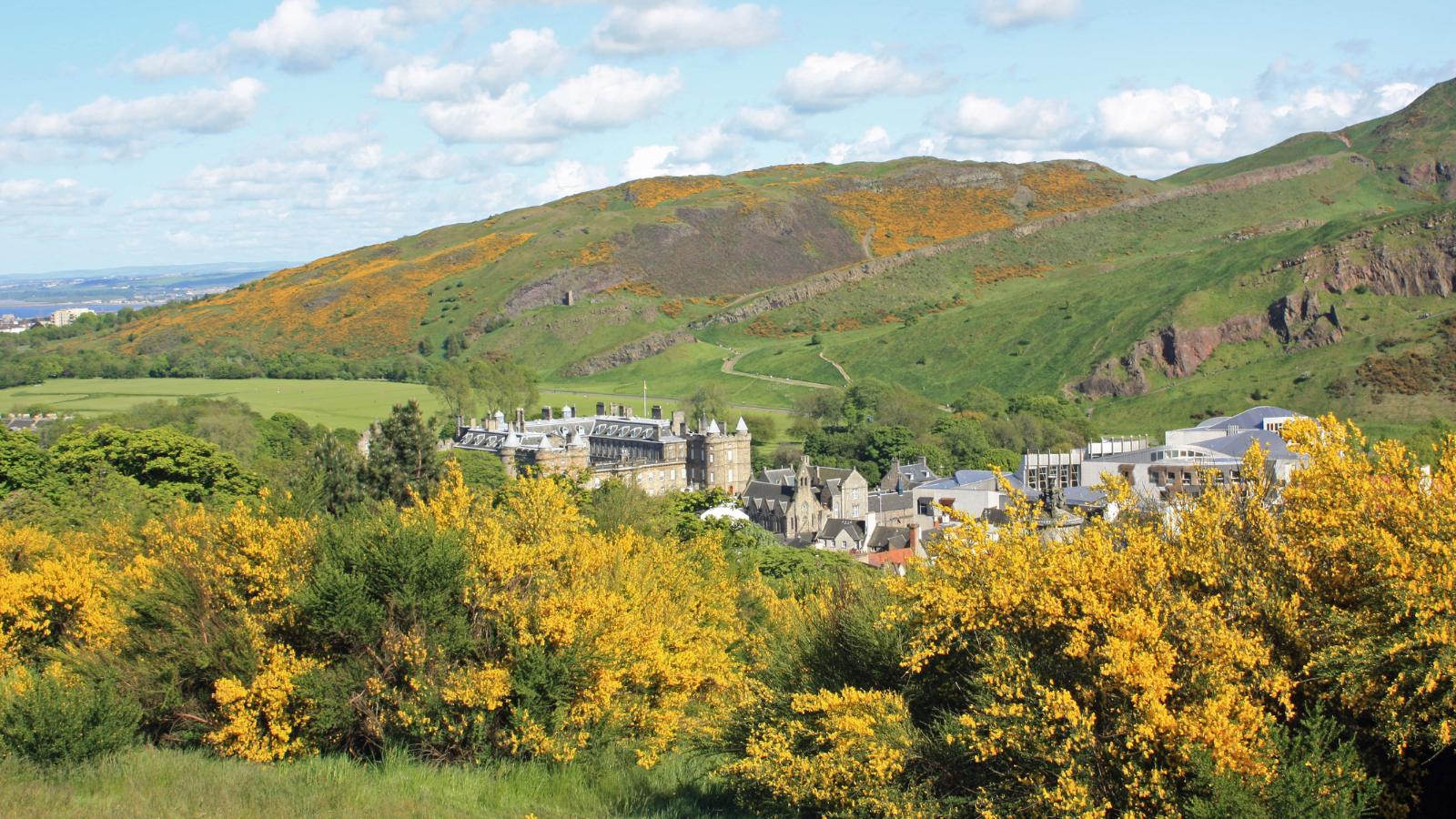 Kinh nghiệm du lịch Edinburgh cho gia đình có trẻ nhỏ: Hành trình ấm áp và tràn đầy niềm vui mùa hè