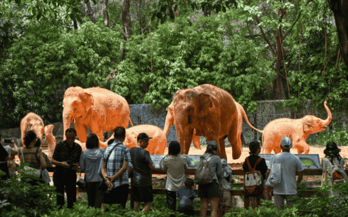 CẨM NANG ĐI CÔNG VIÊN SAFARI CHIMELONG CHI TIẾT NHẤT