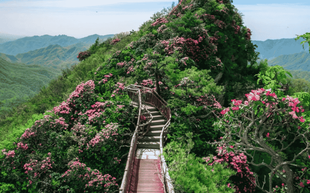 NÚI QUẢNG VŨ: SĂN BIỂN MÂY & PHÒNG GIÁ TỐT CÙNG LAIMI