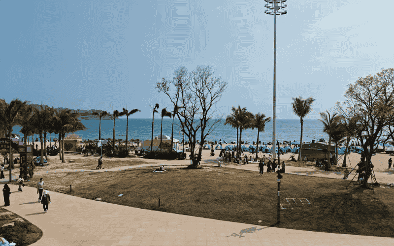 BIỂN TIỂU MAI SA: CÁCH AI LAIMI TỐI ƯU GIÁ TỐT