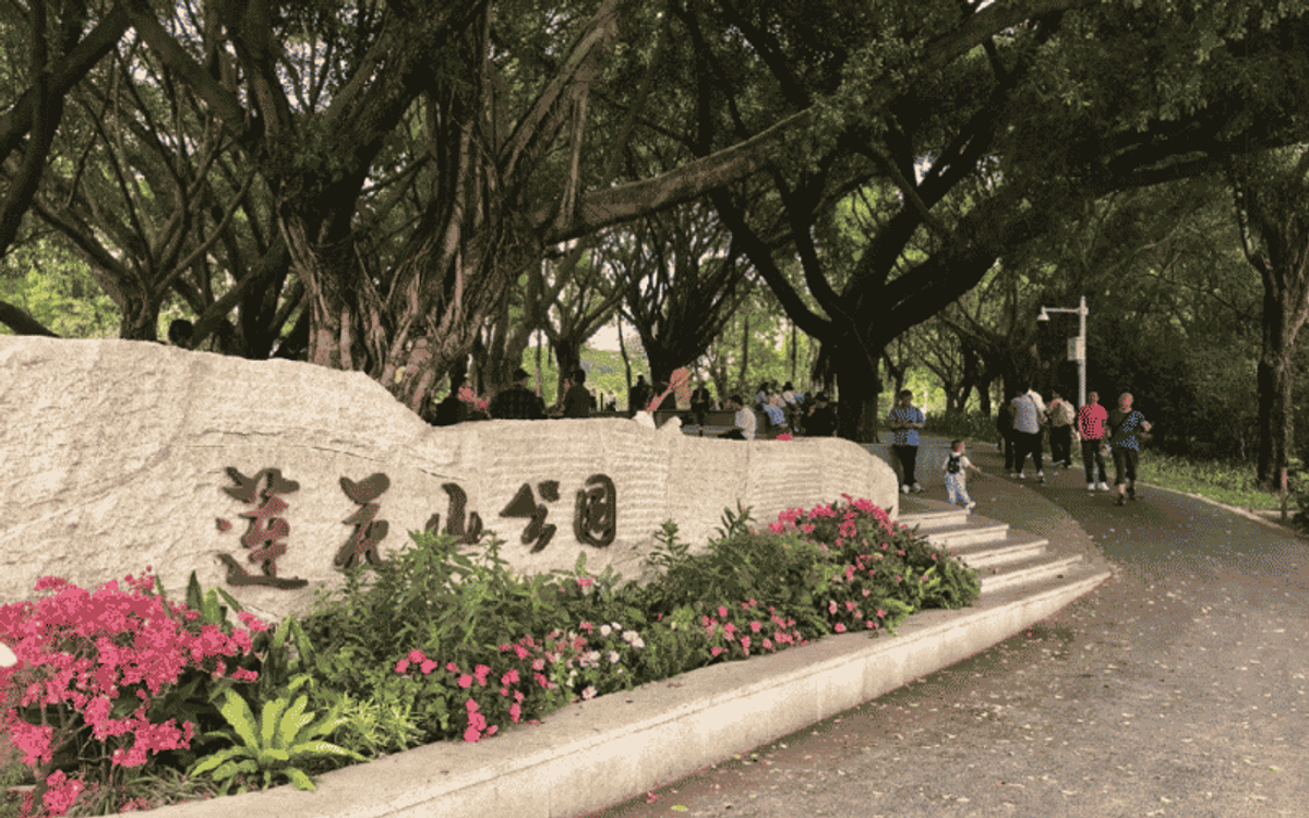 LIÊN HOA SƠN: CÁCH LAIMI GIÚP BẠN TÌM KHÁCH SẠN GIÁ TỐT