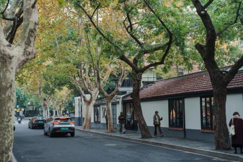 Anfu Road: Nơi nhịp thở Thượng Hải trở nên lãng mạn và thời thượng hơn bao giờ hết