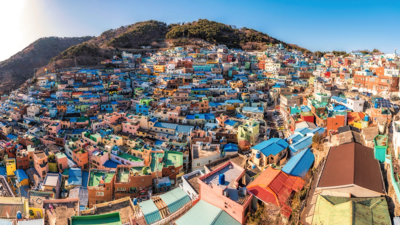 Lịch trình du lịch Busan 4 ngày 3 đêm mùa lá vàng: Hành trình trải nghiệm sắc vàng sắc đỏ và hương vị biển cả