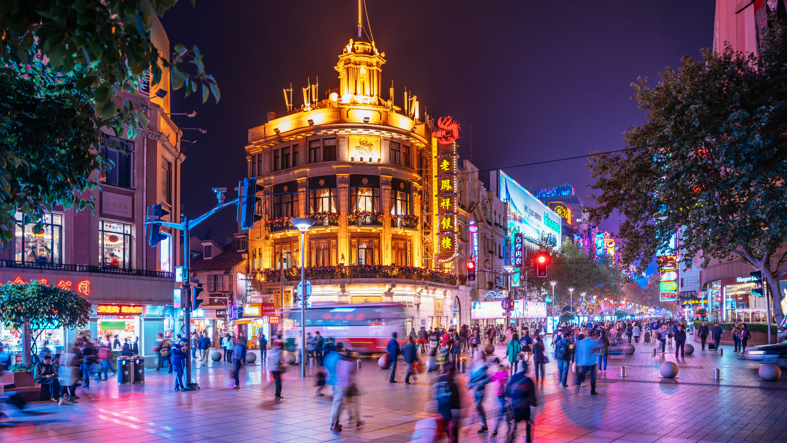 Thượng Hải về đêm mùa đông: Trọn bộ kinh nghiệm vui chơi, ăn uống và ngắm cảnh